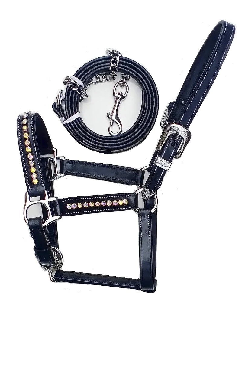 Leather Rainbow halter